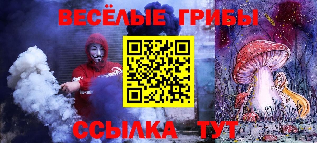 Галлюциногенные грибы Psilocybine cubensis Коммунар