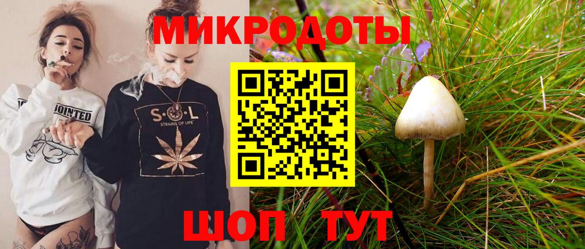 Галлюциногенные грибы Cubensis  Вход с VPN  Коммунар 